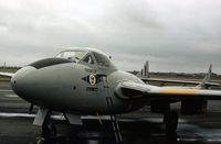 XH304 photo, click to enlarge