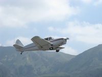 N80698 @ SZP - 1946 Globe GC-1B SWIFT, Continental C145 145 Hp. takeoff climb Rwy 22-gear coming up. - by Doug Robertson