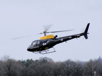 ZJ264 photo, click to enlarge ZJ264 photo, click to enlarge