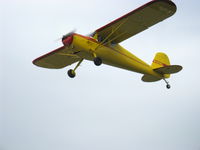 N140BL photo, click to enlarge