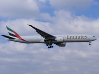 A6-EBX photo, click to enlarge A6-EBX photo, click to enlarge