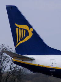 EI-DCE photo, click to enlarge EI-DCE photo, click to enlarge