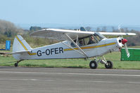 G-OFER - Piper Cub at Enstone South - by Terry Fletcher