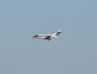 N125GB @ TPA - BAE HS 800A - by Florida Metal
