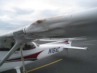 N18AC @ M01 - N18AC CESSNA 172 birdstrike