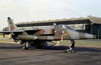 XZ356 photo, click to enlarge XZ356 photo, click to enlarge