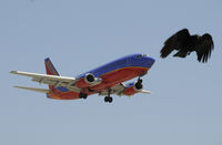 N307SW @ KLAX - Landing 24R at LAX - by Todd Royer