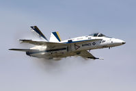 164630 @ LFI - High-speed pass during the F/A-18C Hornet demo at Airpower Over Hampton Roads 2009. - by Dean Heald