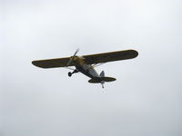 N4535M @ SZP - 1947 Piper PA-11 CUB SPECIAL, Continental A&C-65 65 Hp, Comparatively rare model-just 430 produced, fully cowled engine on PA-11, Takeoff climb Rwy 22 - by Doug Robertson