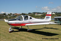 ZK-OGX @ NZRA - R D & C B Bayley, Te Awamutu - by Peter Lewis