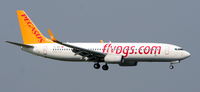 TC-AAI @ EHAM - Pegasus