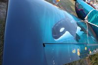 N33MR @ LAL - RV7A - Shamu the Killer Whale on wing - by Florida Metal