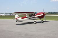 N195HJ @ LAL - Cessna 195B
