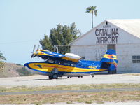 N640 @ AIRPORT IN - At Santa Catalina Island Airport In The Sky  2009 - by Roger Meadows