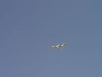 N332CS @ POC - Climbing out from Brackett - by Helicopterfriend