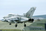 ZA601 @ EGQS - light and dark grey patches