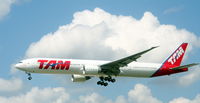 PT-MUD @ EDDF - TAM - by Steffi W.