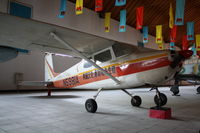 N5981A - Cessna 172  Datangshan, China - by Mark Pasqualino