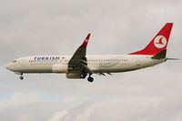TC-JGI photo, click to enlarge TC-JGI photo, click to enlarge