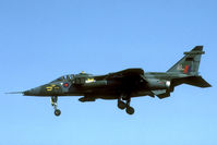 XX750 @ EDUR - A long trip: the 5:20 train from Leeuwarden to Roermond and an hours bicycle ride to bruggen. At 9:00 at last we arrived at the air base to watch the tens of Jaguars flying in and out.