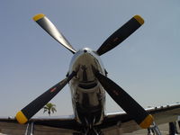 N514DK @ POC - Business end of the P-51 - by Helicopterfriend