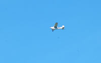 N22580 @ S50 - far away very loud, the only reason I saw him