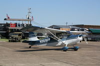 N969FP @ KOWB - American Champion 7GCBC - by Mark Pasqualino