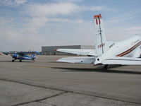C-GDOG @ CYFD - @ Brantford Airport - by PeterPasieka