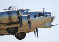 N5017N @ KAPA - B-17 Air Power Heritage Week 2009