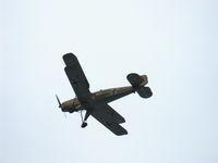 N131G photo, click to enlarge