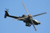 ZJ222 photo, click to enlarge