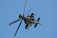 ZJ222 photo, click to enlarge