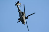 ZJ222 photo, click to enlarge