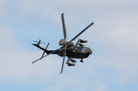 ZJ222 photo, click to enlarge