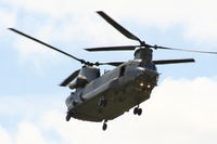 ZD984 photo, click to enlarge