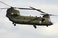 ZD984 photo, click to enlarge