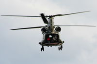 ZD984 photo, click to enlarge