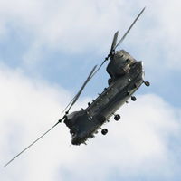 ZD984 photo, click to enlarge