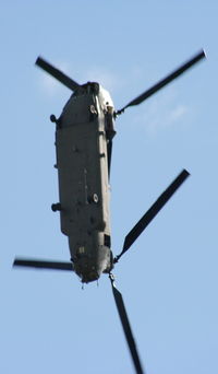 ZD984 photo, click to enlarge