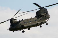 ZD984 photo, click to enlarge