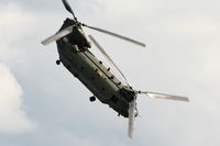ZD984 photo, click to enlarge
