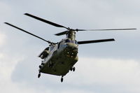 ZD984 photo, click to enlarge
