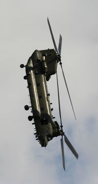 ZD984 photo, click to enlarge