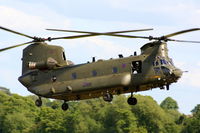 ZD984 photo, click to enlarge