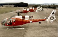XW860 @ GREENHAM - Gazelle HT.2 of 705 Squadron's The Sharks aerobatic display team at the 1981 Intnl Air Tattoo at RAF Greenham Common. - by Peter Nicholson