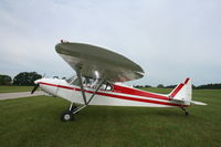 N320SH @ 88C - Piper PA-18A - by Mark Pasqualino