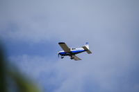 N28316 @ PAEH - FLIGHT BY - by elguyo18