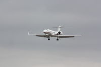 N550RP @ KLGB - Landing RWY 30 @ KLGB from KLAX - by Mel II