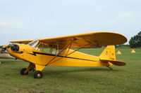 N70186 @ 88C - Piper J3C-65 - by Mark Pasqualino