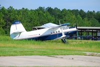 N74AN @ DCM - Lithuanian An-2 - by Connor Shepard